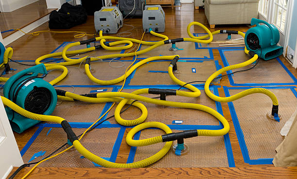Professional Burst Pipe Water Damage technician working in Coshocton, OH